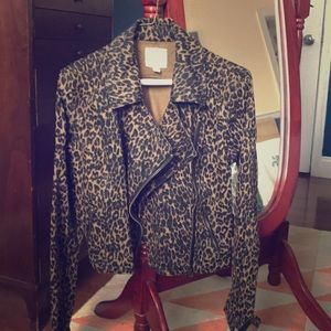 Urban outfitters leopard print cropped moto jacket